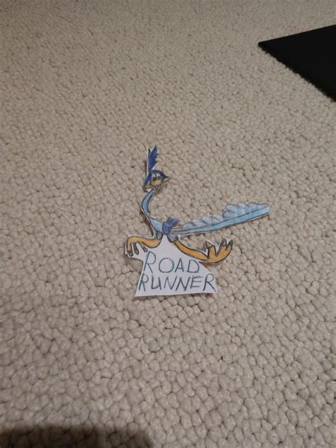 Image result for Road Runner Tutorials