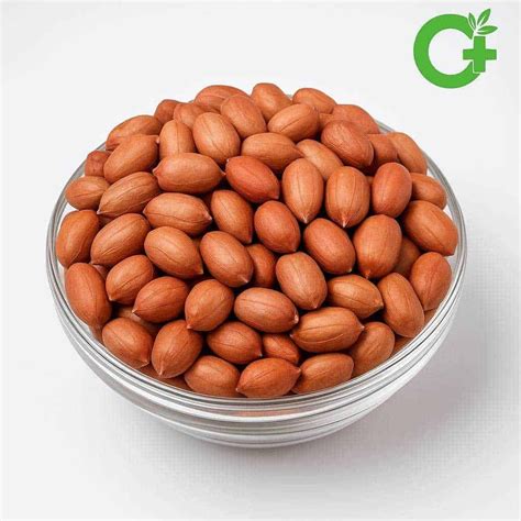 Mochai (Field Beans) – Nutrition, Benefits, Recipes & Storage Tips