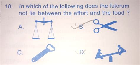 what is the definition of fulcrum effort and the load and after writing ...