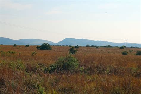 Light On South African Grassland Free Stock Photo - Public Domain Pictures