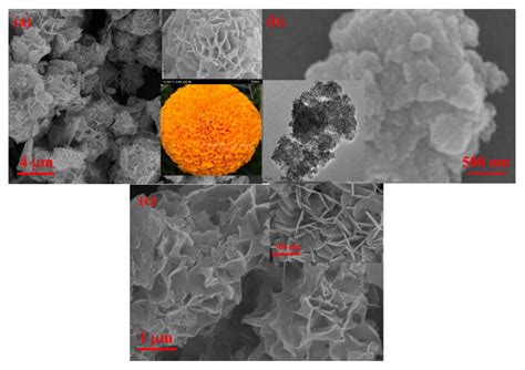 Effect of Electrolytes on the BiOI/SnO2 Heterostructure to Achieve ...