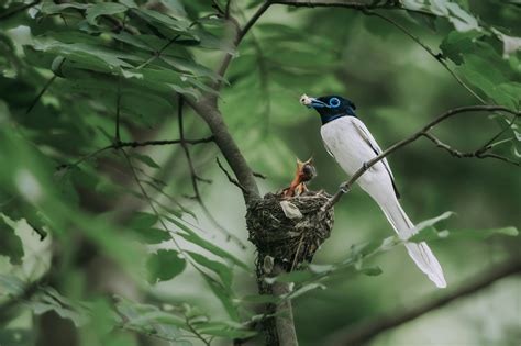 JavaScript Array Image with Green Color 的图像结果