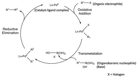 Catalyst Recycling in the Suzuki Coupling Reaction: Toward a Greener Synthesis in the ...