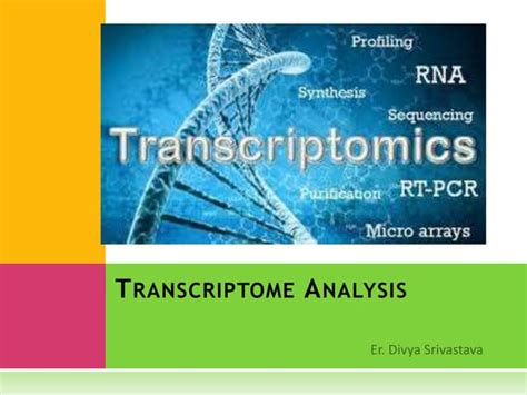 Image result for Transcriptome Analysis