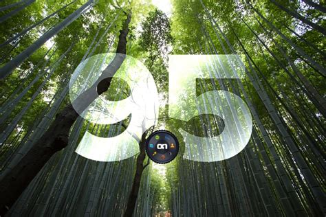 OnOne Perfect 8 1 Suite Tutorials 的图像结果