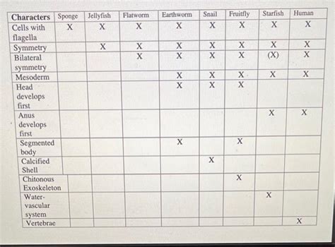 Image result for Cladogram Character Table