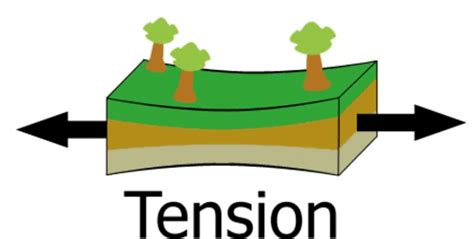 Forces 的图像结果