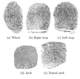 Image result for Normalized Data Graph