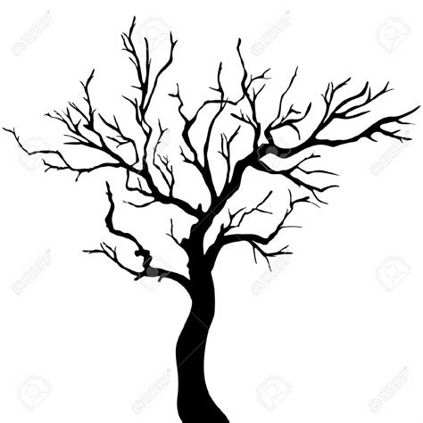 a black and white silhouette of a tree with no leaves on the branches stock photo