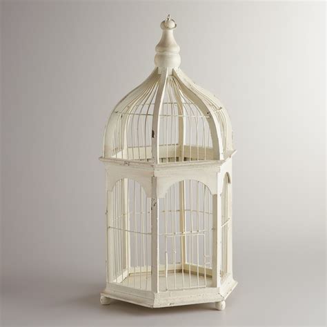 Bird cage decor, Decor, Bird cages for sale