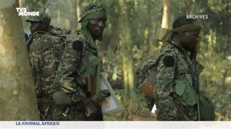 RDC - Ouganda : la coalition militaire contre les ADF jugée inefficace ...