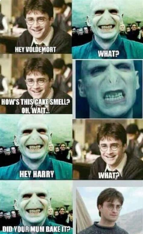 Harry potter 10 hilarious hermione memes only true fans will understand ...