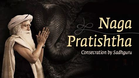 Vallalar The Immortal Ruler - Conscious & Super conscious data of ...