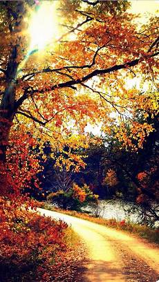 Pretty Fall Wallpaper Iphone by 28 Breath Taking And Most Beautiful Fall Wallpaper For Pretty Fall Wallpaper Iphone