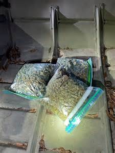 Owner of Oakdale liquor store accused of distributing marijuana