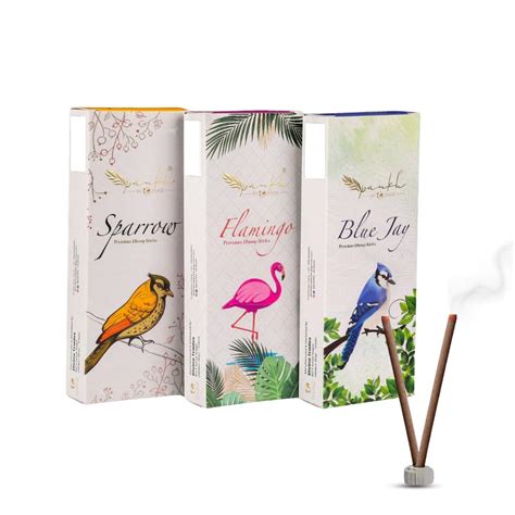 Pankh By Divine Bambooless Incense Sticks - Premium Dhoop Batti with ...