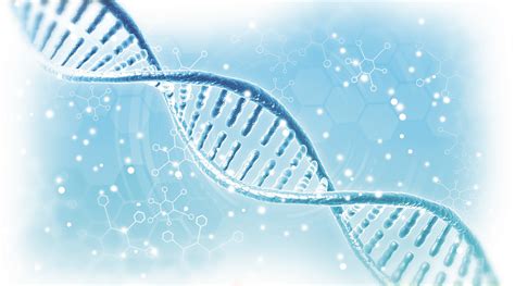 Biological Structure Design 的图像结果
