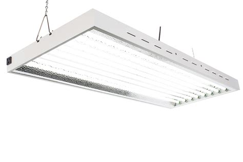 Amazon.com : 4Ft X 24In 8 Lamps 400W T5 Fluorescent Grow Lights with ...