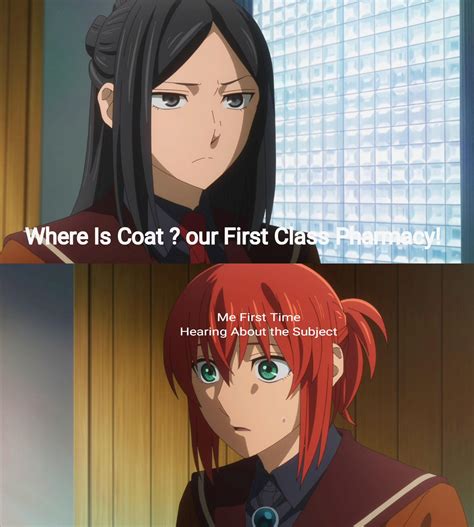 Image result for Ancient Magus Bride Chise PFP