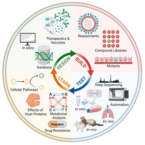 Image result for Design Build Test Learn