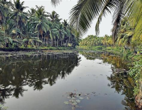 Kerala Rivers Review 2017 : Government Efforts Fail To Protect Rivers ...