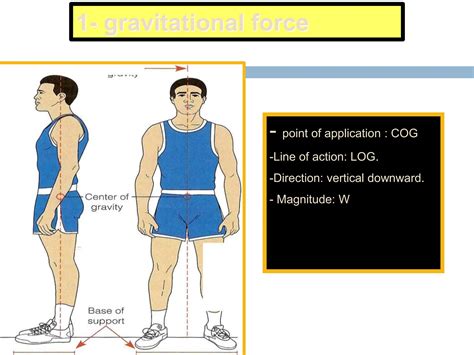 2. Kinetic Analysis And Basic Kinesiology pptx | PPTX