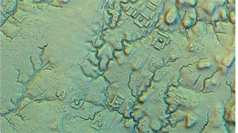 Amazon rainforest: Five ancient cities connected by roads discovered ...