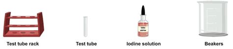 Procedure - To Test the Presence of Starch in Potato, Biology, Science ...