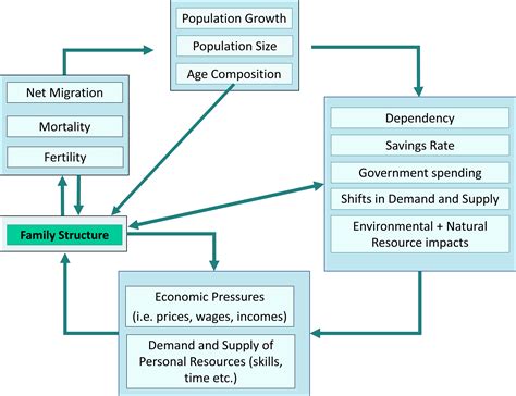 Image result for Social Structure Examples