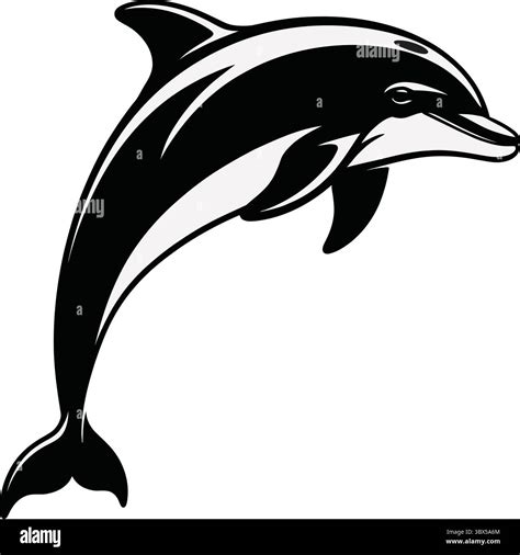 Educational adventures Stock Vector Images - Alamy