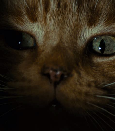 Alien Full Movie 的图像结果