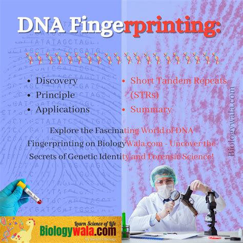 DNA Fingerprinting: 7 Critical Applications - Biologywala.com By: Sachin's Biology