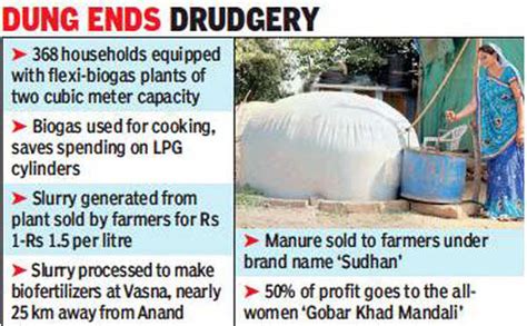 All gas & gaiters: Cow dung ups happiness index in Anand village ...