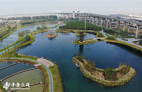 芜湖：“水下森林”绿意浓 潺潺清水绕城来-中安旅游网