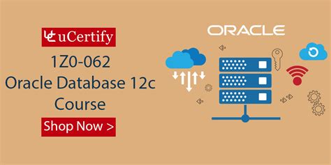 Image result for Learn Databse Course