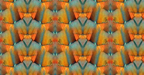 Image result for Generate Color Style Corel