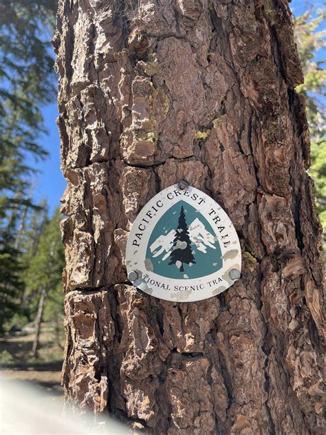 PCT week six: tough times in the Sierra - The Trek