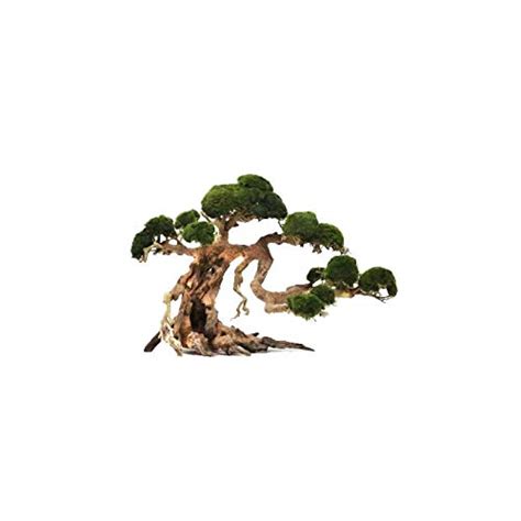 Driftwood Bonsai Tree for Fish Aquarium Planted Aquascape Freshwater 15 ...