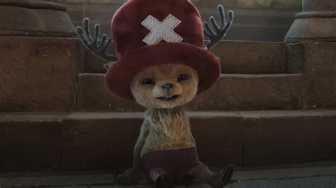 Netflix's One Piece: Chopper Star Breaks Silence on Joining the Series ...
