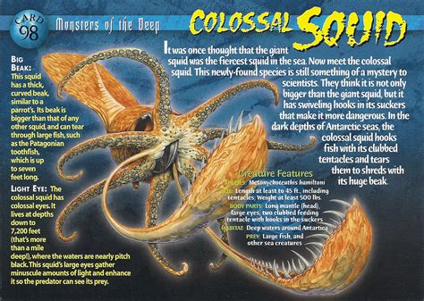 Image result for Octonauts Colossal Squid Size