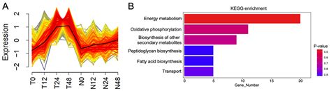 OsNPR1 Enhances Rice Resistance to Xanthomonas oryzae pv. oryzae by ...