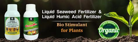 OrganicDews Liquid Seaweed Fertilizer(250 ml) & Humic Acid Fertilizer ...