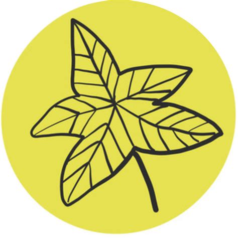 דף הבית - רונליזה