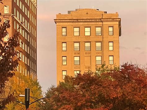 Image result for iPhone 12 Pro Max Review CNET