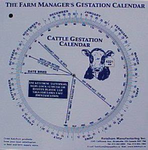 Gestation Calendar Wheel, Goat - Sheepman Supply - Sheepman Supply