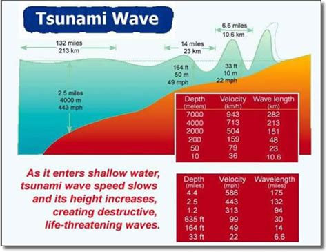 Tsunami | Shoaling process, shallow waters and energy release waters ...