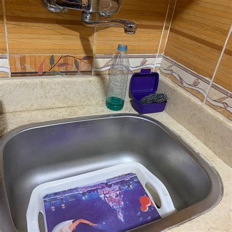 UMARAA NORTH COAST ALEXANDRIA - Specialty Hotel Reviews & Photos ...
