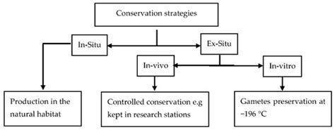An Update on South African Indigenous Sheep Breeds’ Extinction Status ...