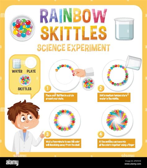 Rainbow skittles science experiment illustration Stock Vector Image ...