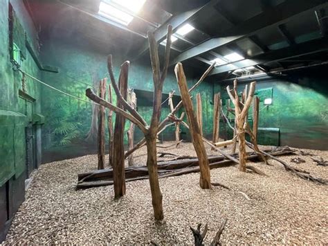 ZooLex Image - Indoor exhibit